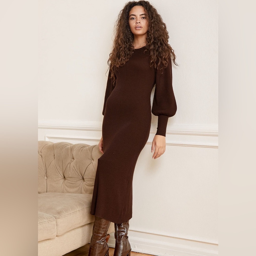 Modern Citizen Balloon Sleeve Sweater Dress